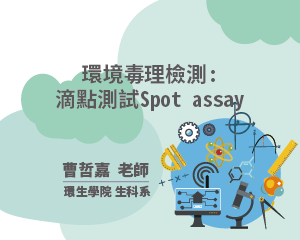 環境毒理檢測：滴點測試Spot assay