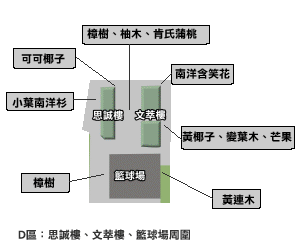 D區